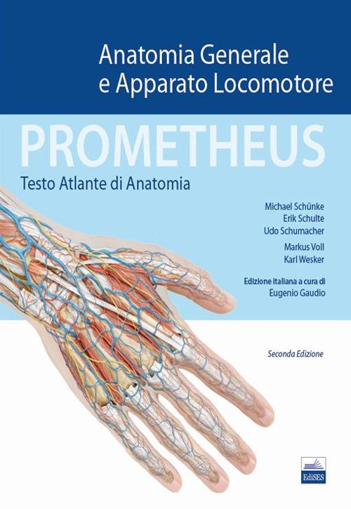 Prometheus. Testo atlante di anatonomia. Anatomia generale e apparato locomotore - Michael Schünke,Erik Schulte,Udo Schumacher - copertina