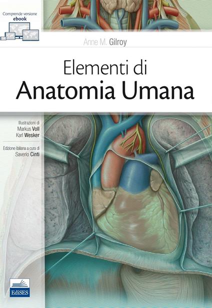Elementi di anatomia umana. Con Contenuto digitale (fornito elettronicamente) - Anne M. Gilroy - copertina