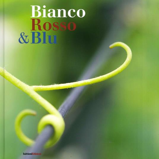 Bianco rosso & blu - Bruno Bergomi - copertina