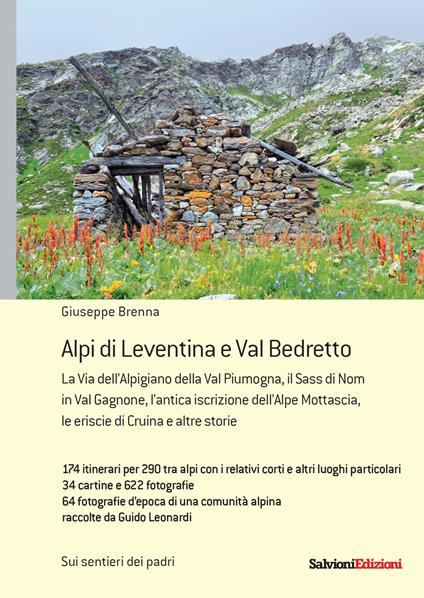 Alpi di Leventina e Bedretto - Giuseppe Brenna - copertina