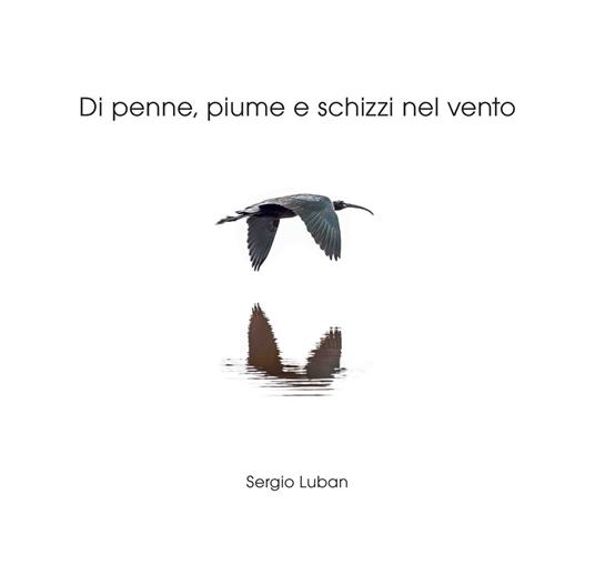 Di penne, piume e schizzi nel vento. Ediz. illustrata - Sergio Luban - copertina