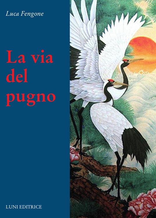 La via del pugno - Luca Fengone - copertina