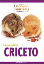 Il mio primo criceto