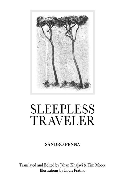 Sleepless traveler - Sandro Penna - copertina