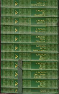 Glamour racing. Ediz. inglese e spagnola
