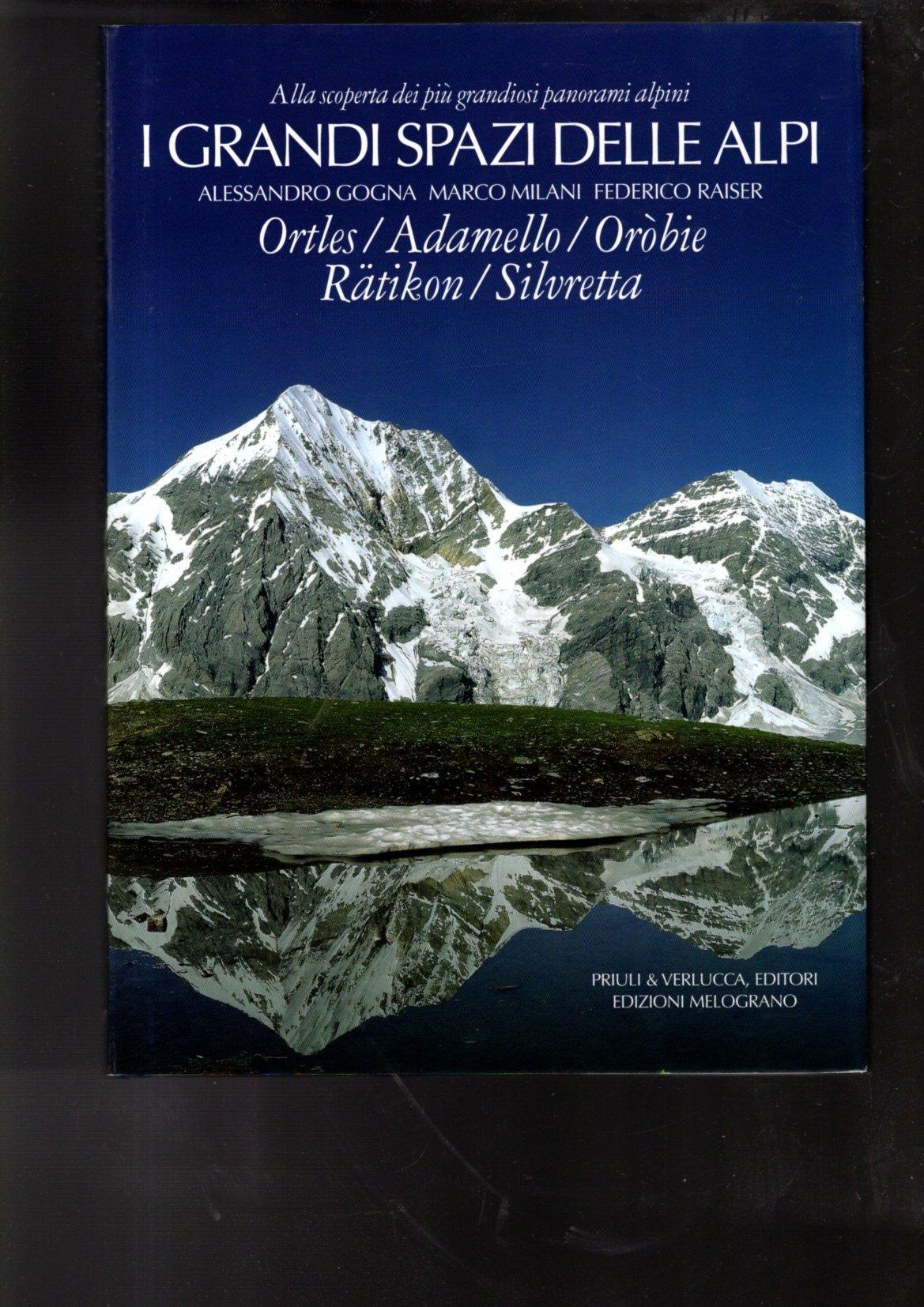 I grandi spazi delle Alpi. Ediz. illustrata. Vol. 4: Bernina, Màsino, Oberland, Grigioni.