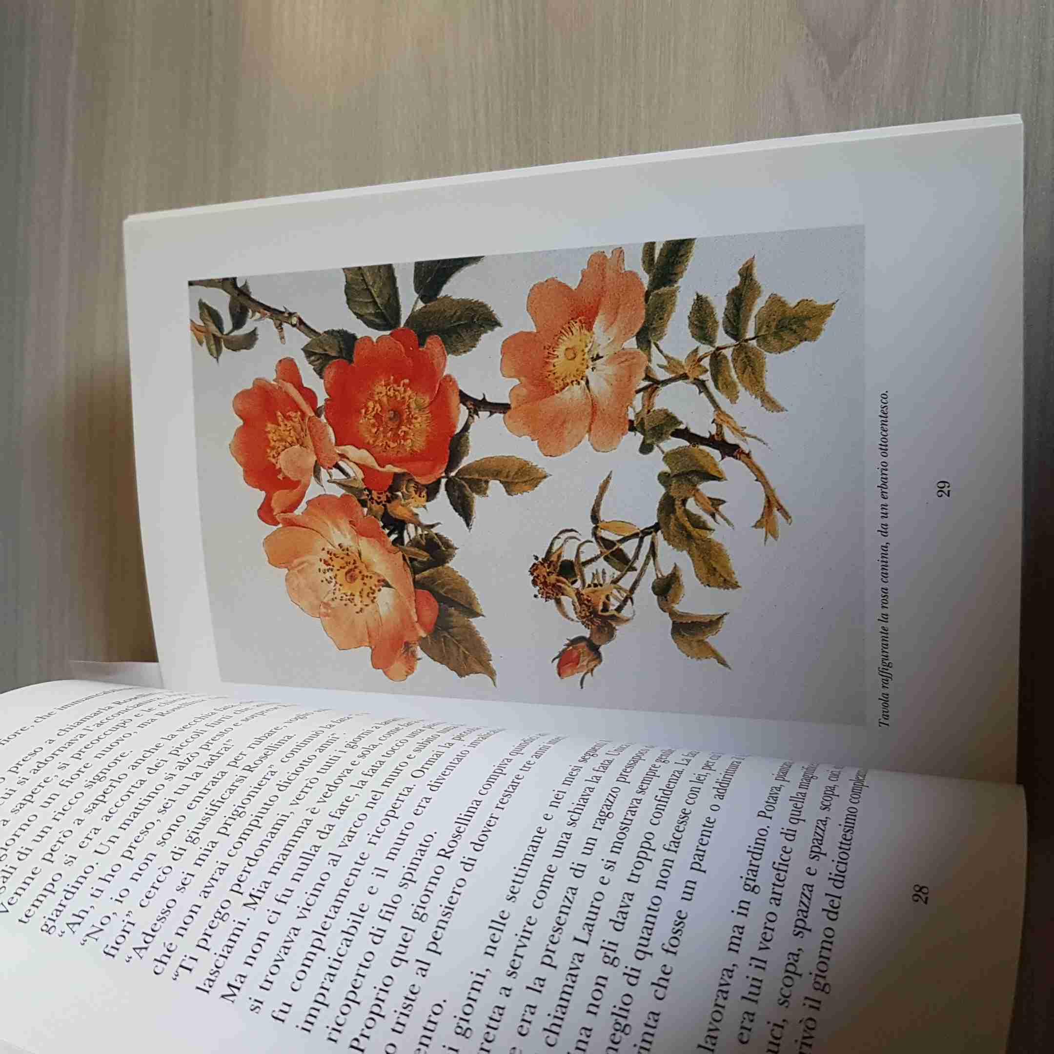 Le fate delle rose. Fiabe della tradizione orale raccontate per i ragazzi