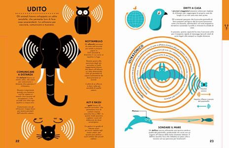 Il regno animale. Gli infografici. Informazioni incredibili in un batter d'occhio. Ediz. a colori - Nicholas Blechman - 2