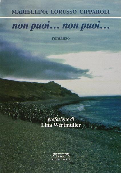 Non puoi... Non puoi - Mariellina Lorusso Cipparoli - copertina