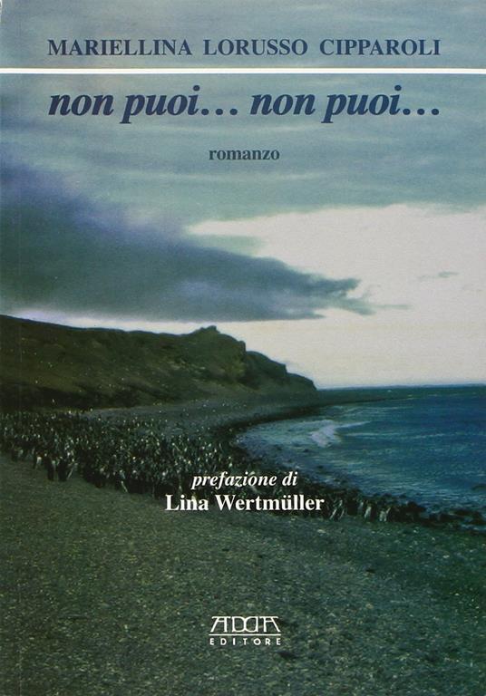 Non puoi... Non puoi - Mariellina Lorusso Cipparoli - copertina