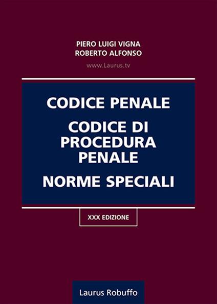 Codice penale, codice di procedura penale, norme speciali - Piero Luigi Vigna,Roberto Alfonso - copertina