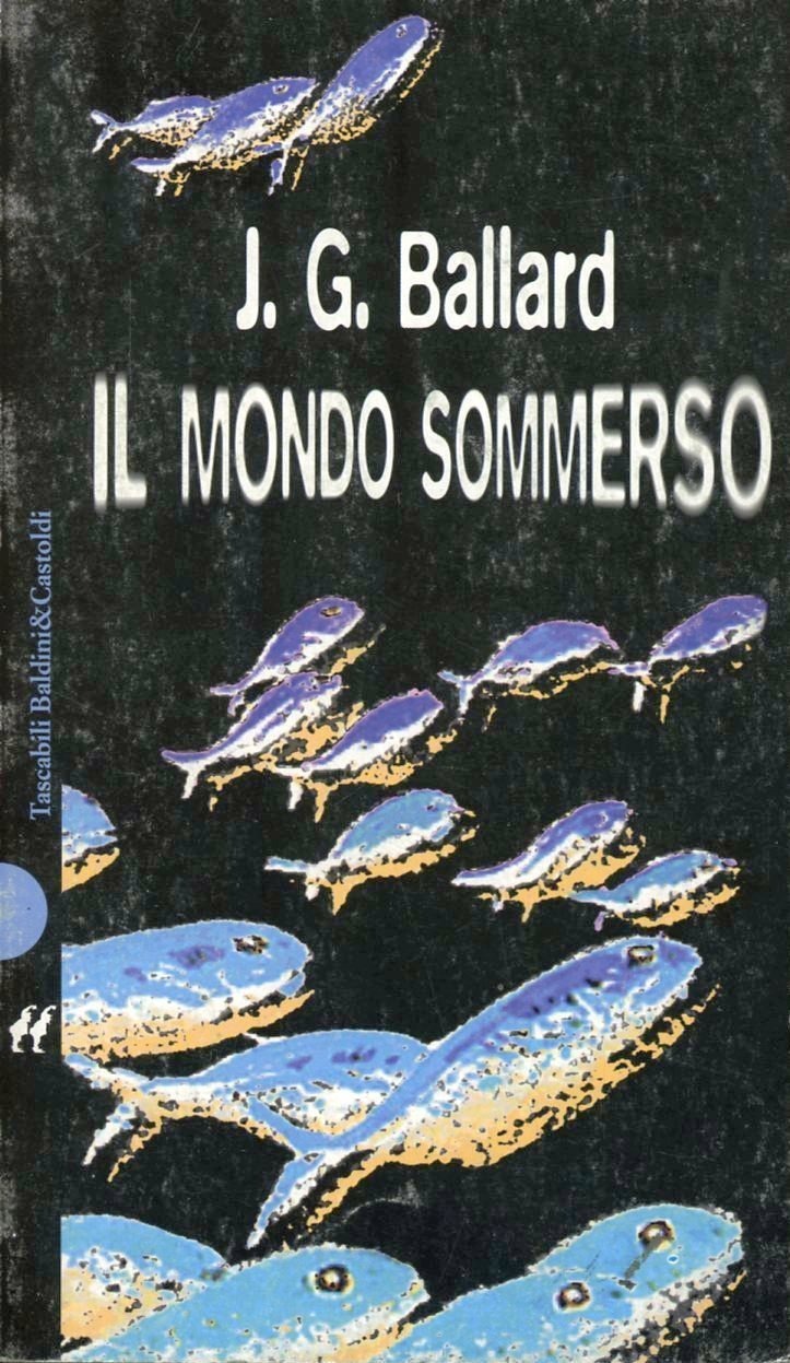 Libraccio