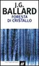 Libraccio