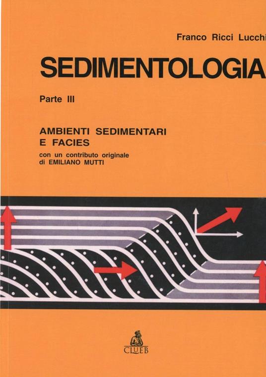 Sedimentologia. Vol. 3: Ambienti sedimentari e facies. - Franco Ricci Lucchi - copertina