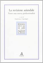 La revisione aziendale. Verso una nuova professionalità