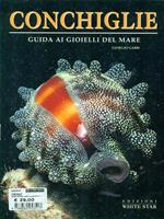 Conchiglie. Guida ai gioielli del mare. Ediz. illustrata