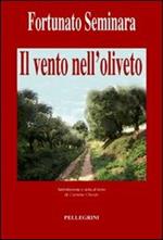 Il vento nell'oliveto