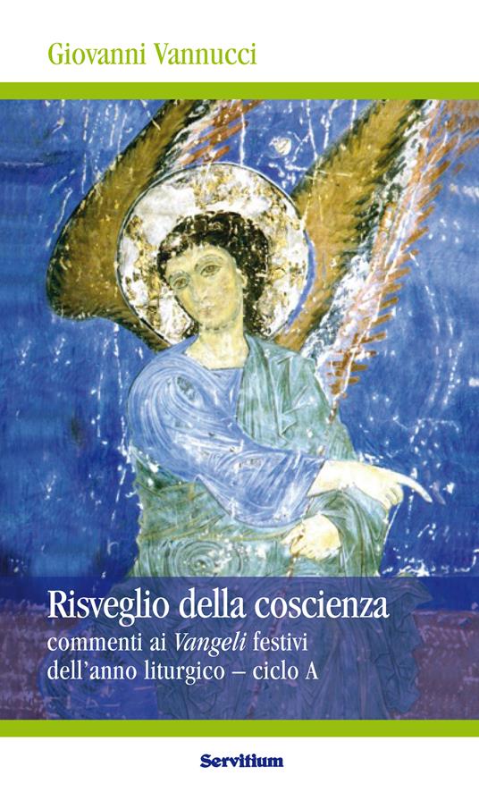Risveglio della coscienza. Commenti ai Vangeli festivi dell'anno liturgico. Ciclo A - Giovanni Vannucci - ebook