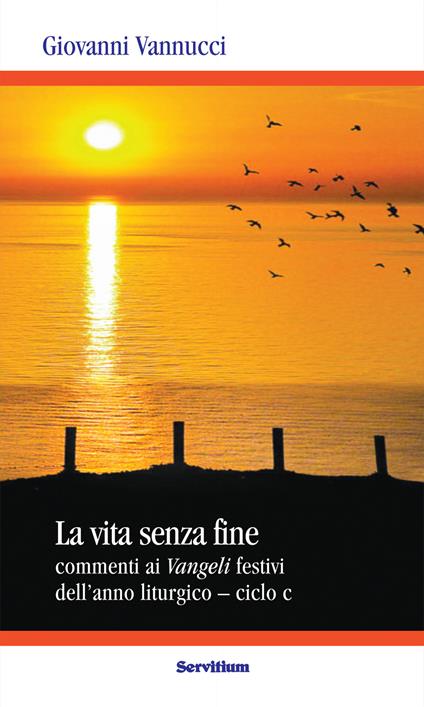 La vita senza fine. Commenti ai Vangeli festivi dell'anno liturgico. Ciclo C - Giovanni Vannucci - ebook