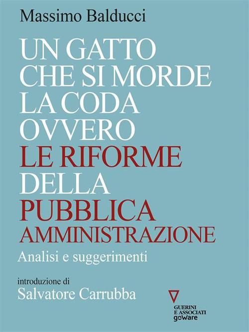 Un gatto che si morde la coda ovvero le riforme della pubblica amministrazione. Analisi e suggerimenti - Massimo Balducci - ebook