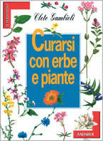 Libreria Imagine's Book