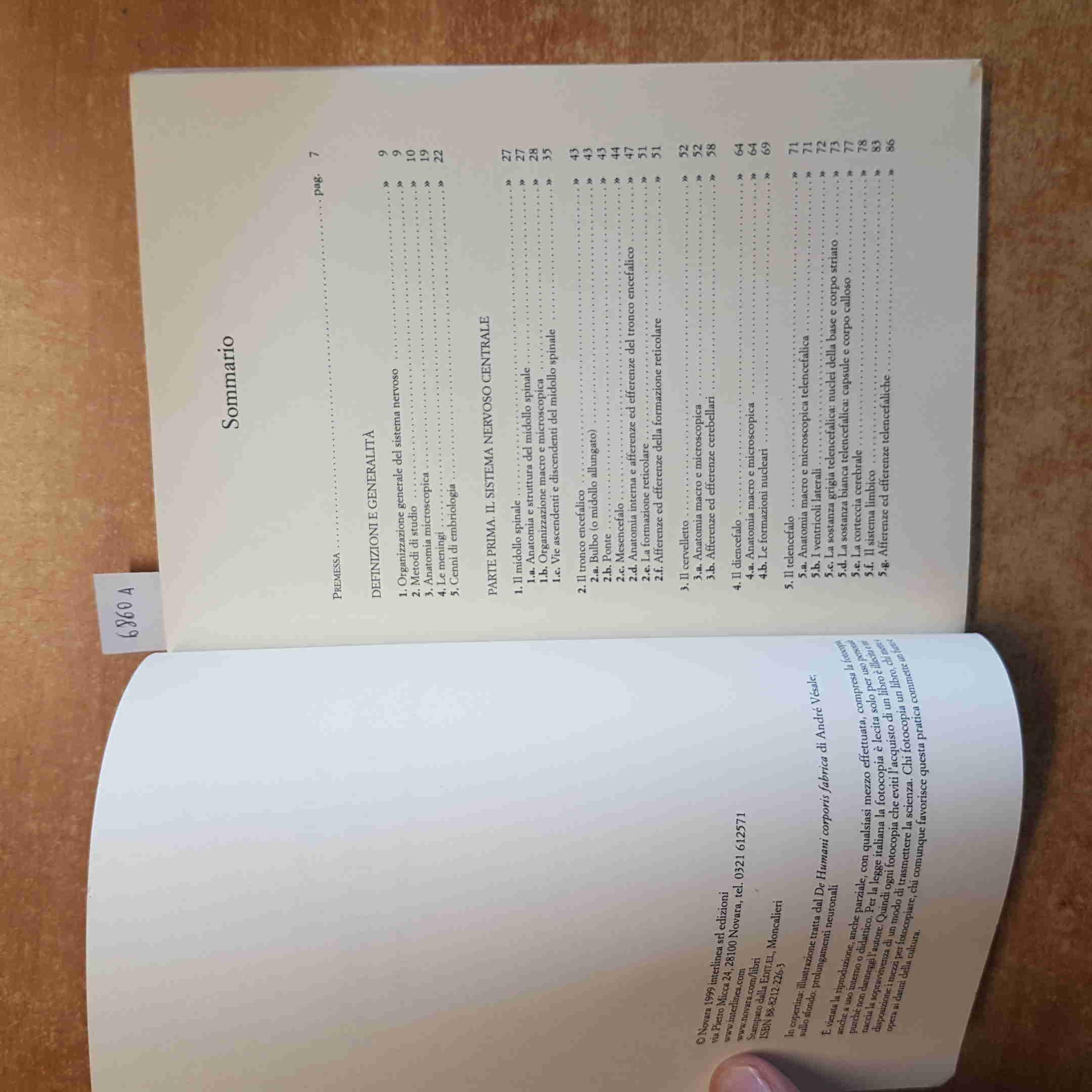 Appunti di anatomia umana. Sistema nervoso centrale e periferico