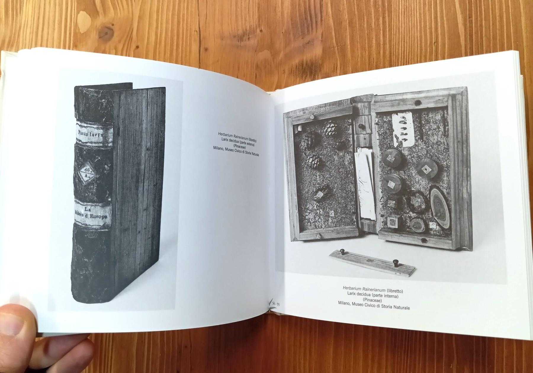 Herbarium rainerianum. Realtà botaniche dalla Villa reale di Monza alla siloteca Cormio
