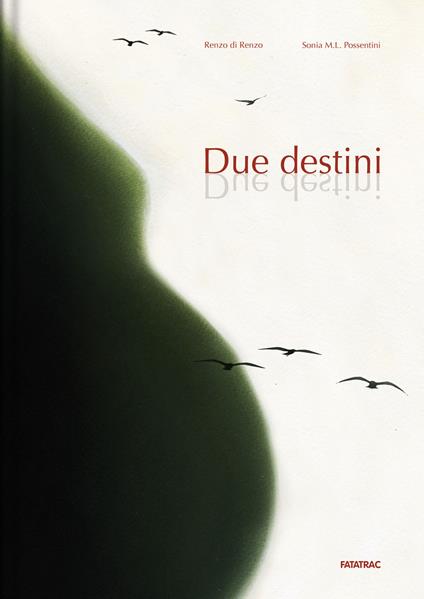 Due destini. Ediz. illustrata - Renzo Di Renzo,Sonia Maria Luce Possentini - copertina
