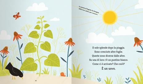 La farfalla e il fagiolo - Martin Jenkins - 4