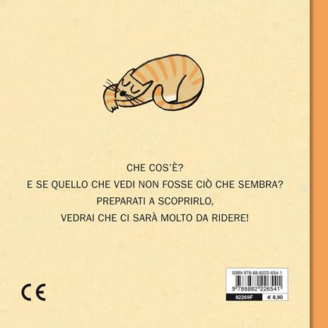 Che cos'è? Ediz. a colori - Elisenda Roca,Christian Inaraja - 2