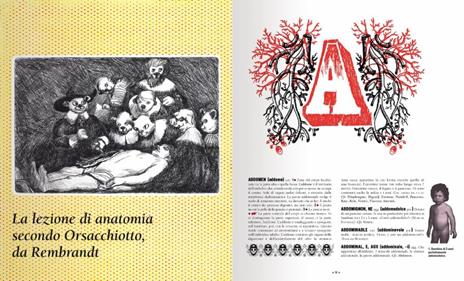 Dizionario folle del corpo. Ediz. a colori - Katy Couprie - 4