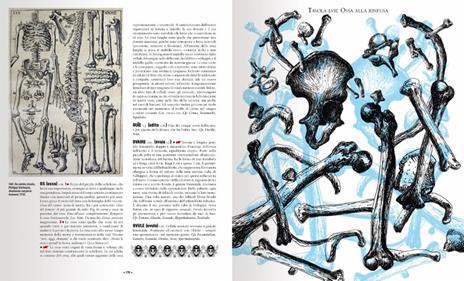 Dizionario folle del corpo. Ediz. a colori - Katy Couprie - 5