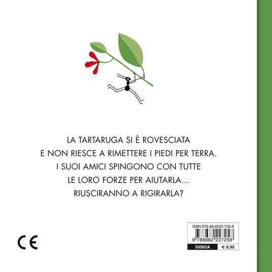 Gira la tartaruga! Ediz. a colori - Susanna Isern - 3