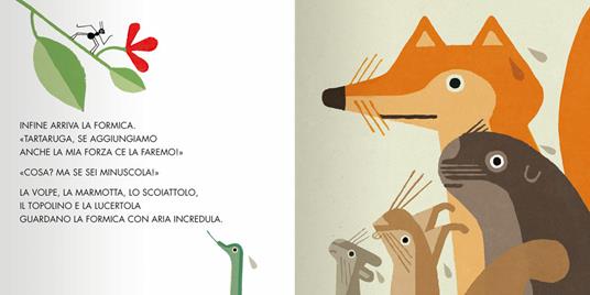 Gira la tartaruga! Ediz. a colori - Susanna Isern - 7