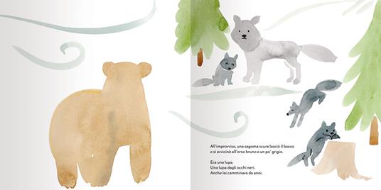 L' orso più tenero. Ediz. a colori - Jean-Michel Billioud - 5