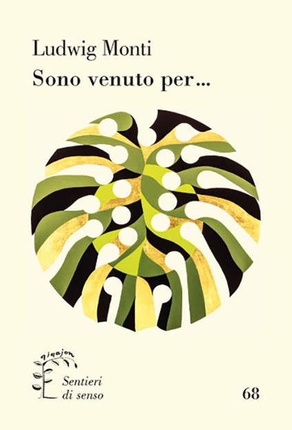 Sono venuto per... - Ludwig Monti - copertina