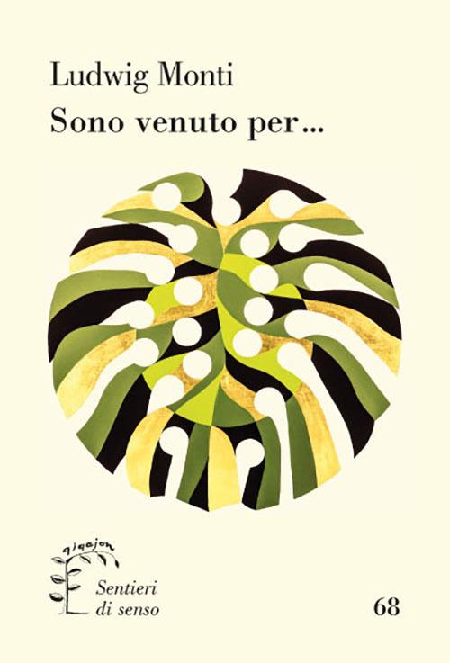 Sono venuto per... - Ludwig Monti - copertina