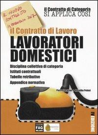 Il contratto di lavoro. Lavoratori domestici - Pietro Zarattini,Rosalba Pelusi - copertina