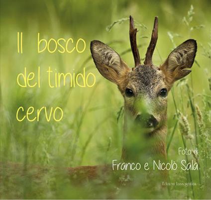 Il bosco del timido cervo. Ediz. illustrata - copertina