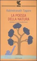 Nome prodotto