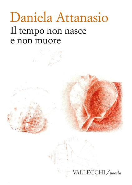 Il tempo non nasce e non muore - Daniela Attanasio - copertina