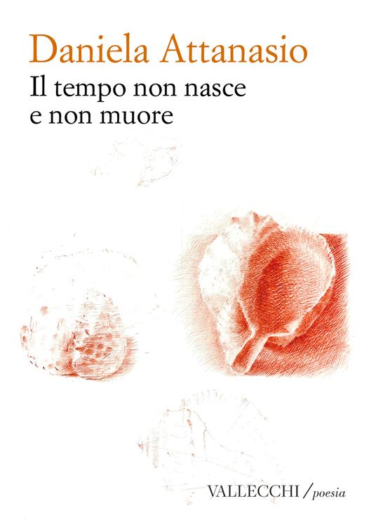 Il tempo non nasce e non muore - Daniela Attanasio - copertina