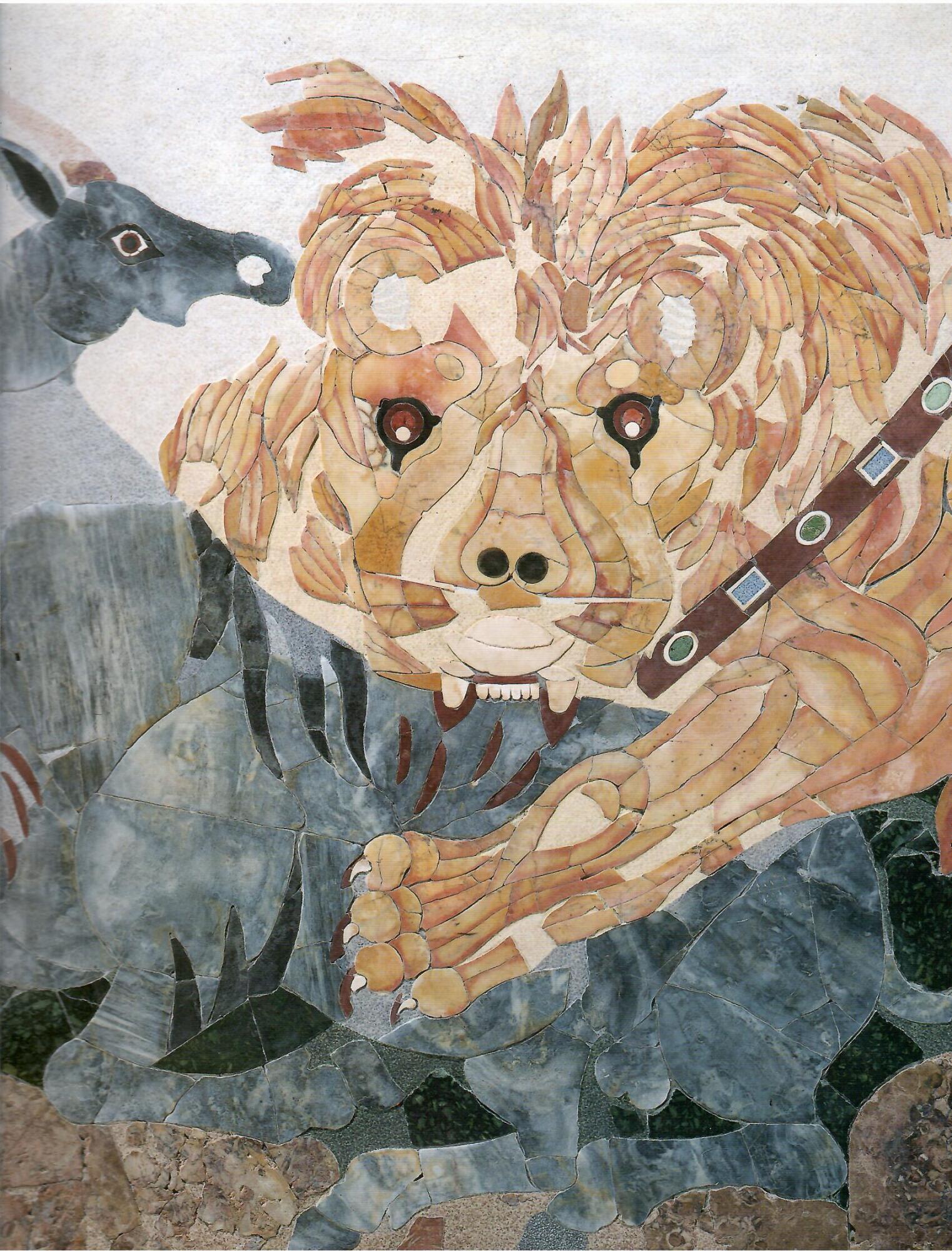 Libreria sottomarina