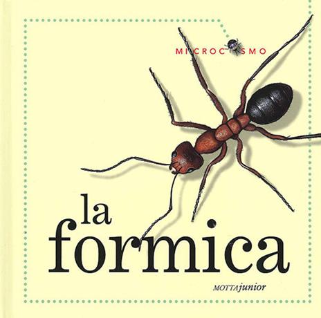 La formica. Ediz. illustrata - Ting Morris,Desiderio Sanzi - copertina