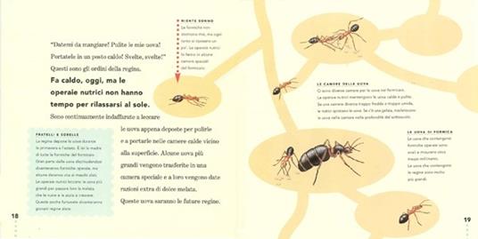 La formica - Ting Morris - 9