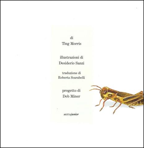 Il grillo e la cavalletta - Ting Morris - 3