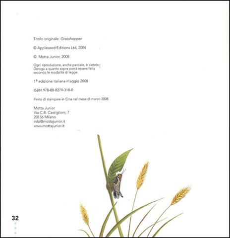 Il grillo e la cavalletta - Ting Morris - 4