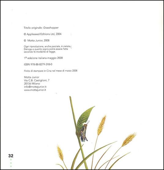 Il grillo e la cavalletta - Ting Morris - 4