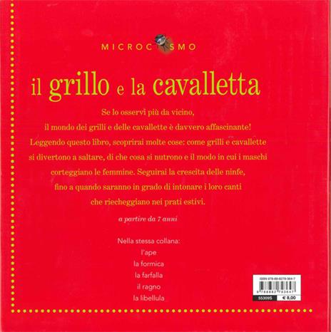 Il grillo e la cavalletta - Ting Morris - 6