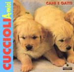 Cani e gatti amici